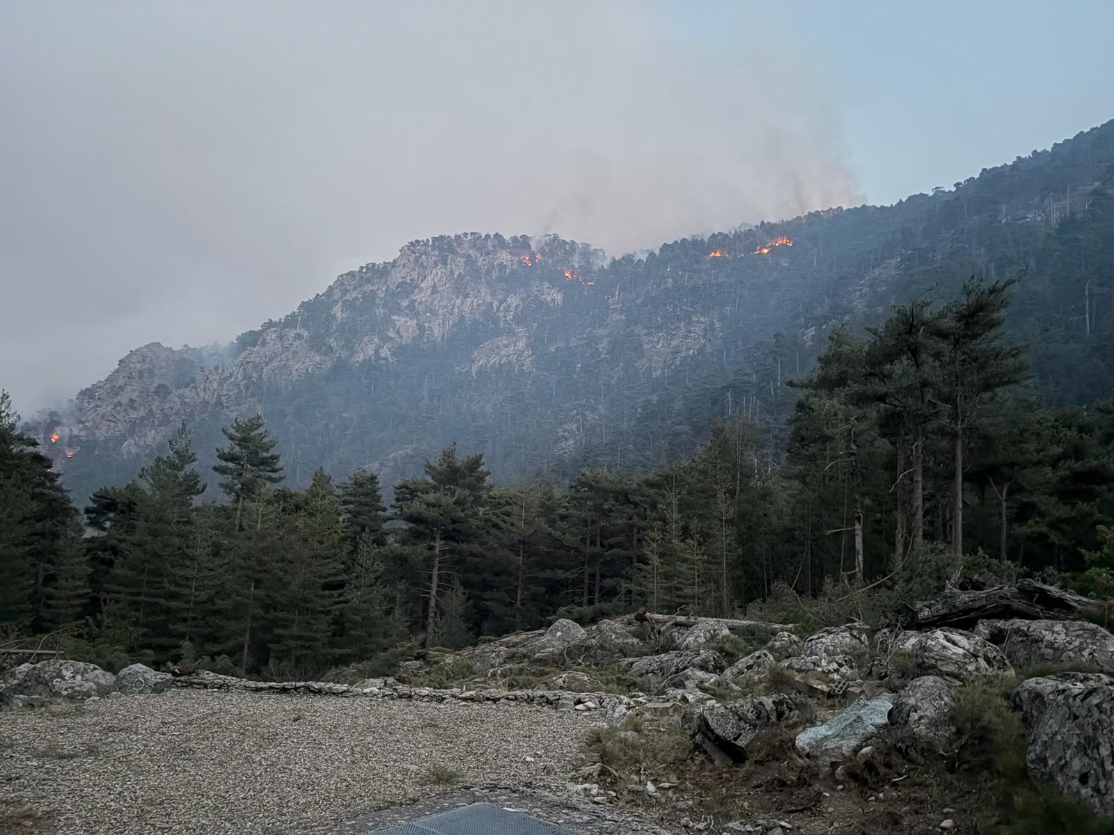 feu de Biguglia