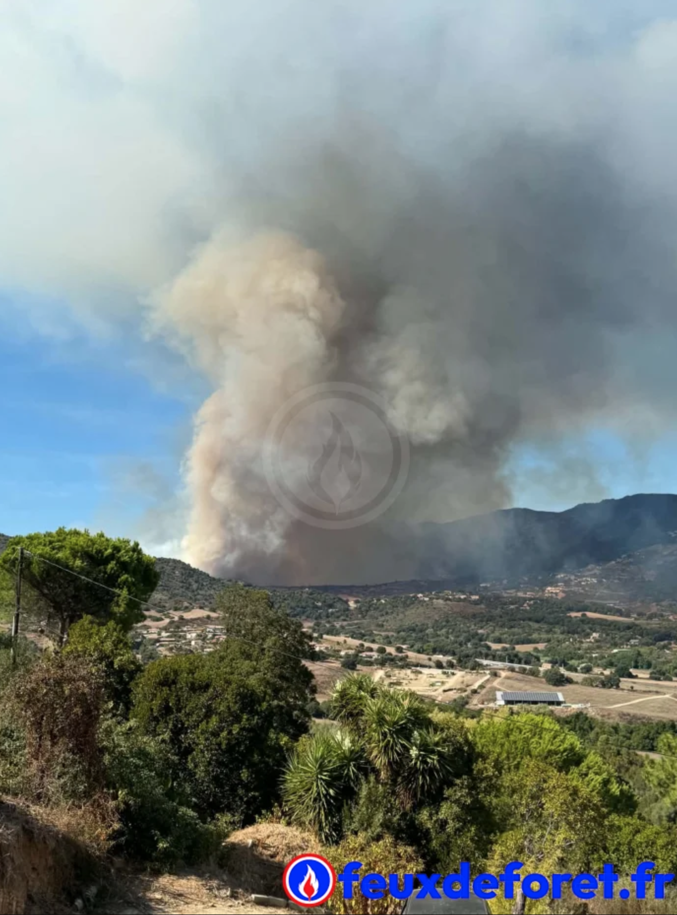 Feu appietto