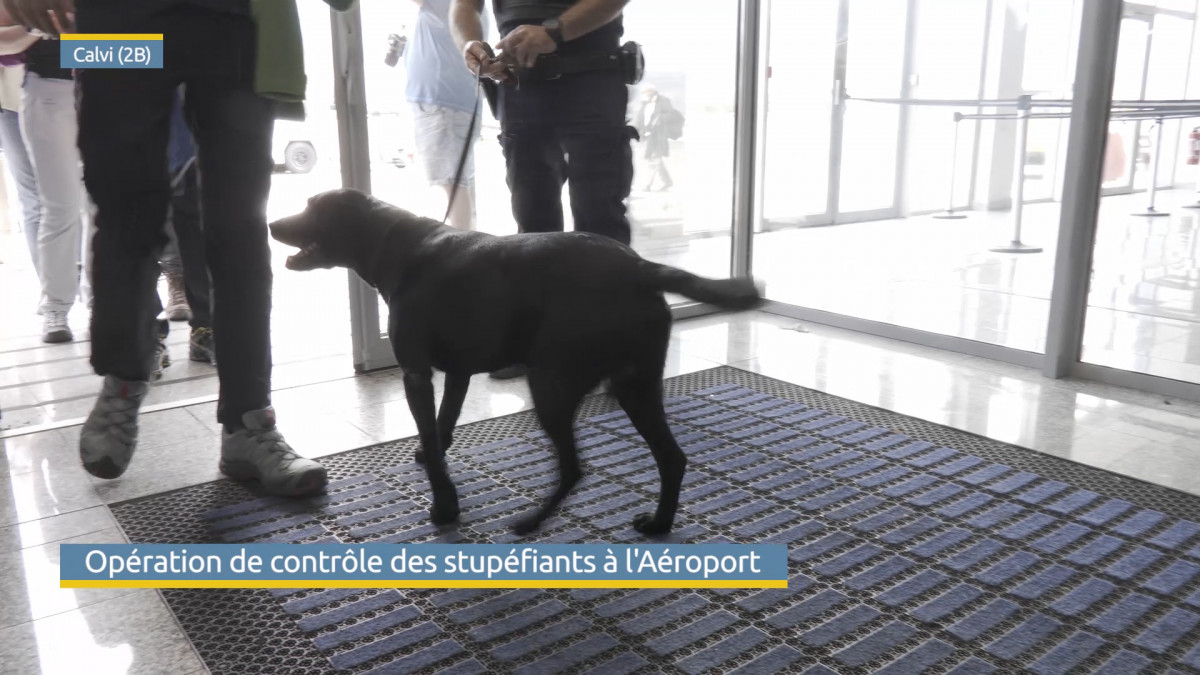 Orco contrôles les passagers à leur sortie de l'avion