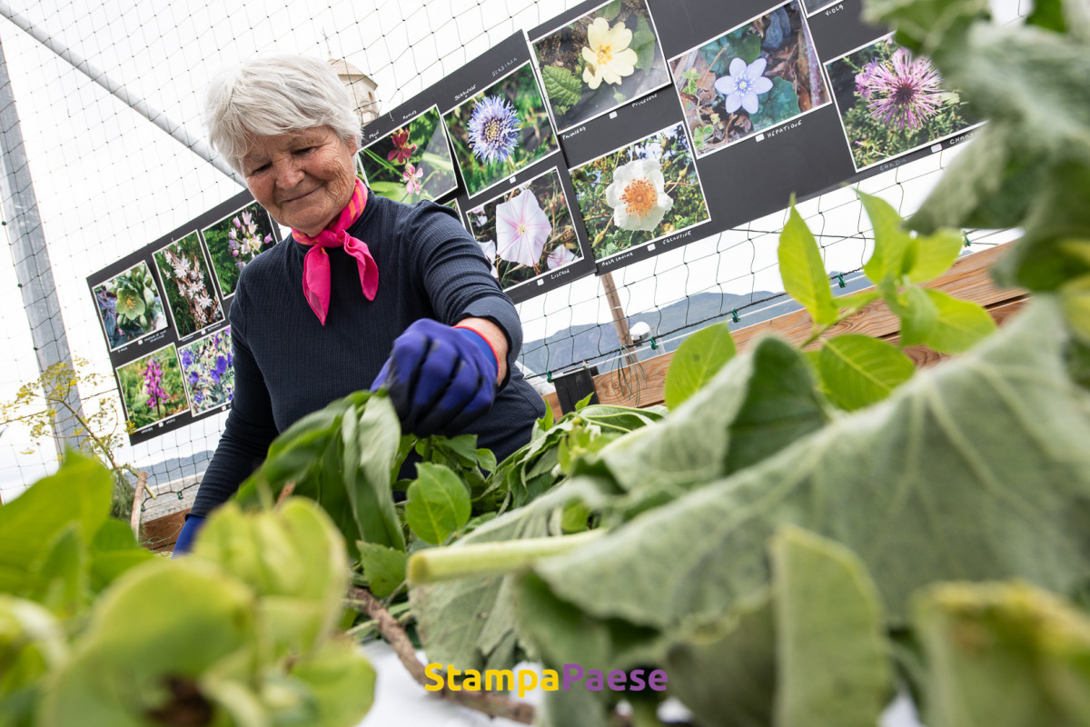 Révolution des jardins