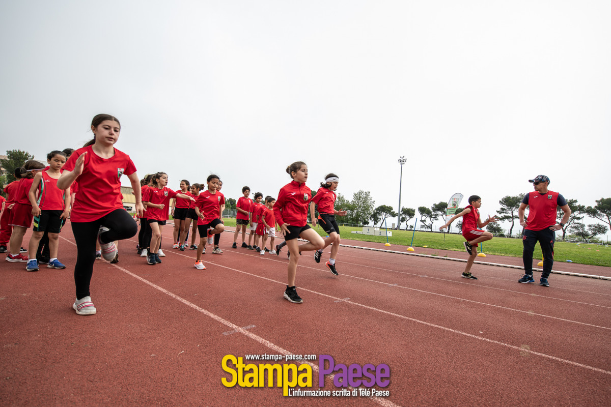 meeting athlétisme