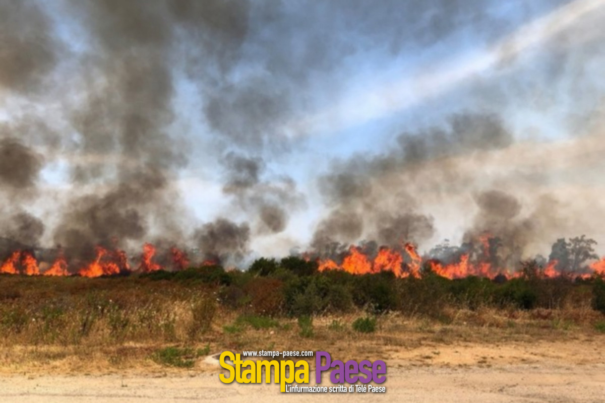 illustration feu