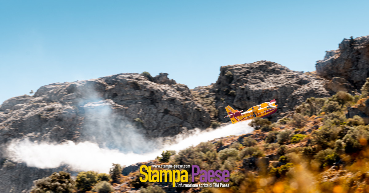 canadair