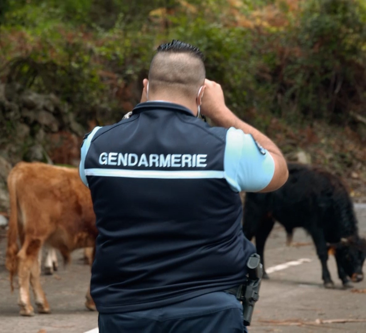 La petite brigade du maquis