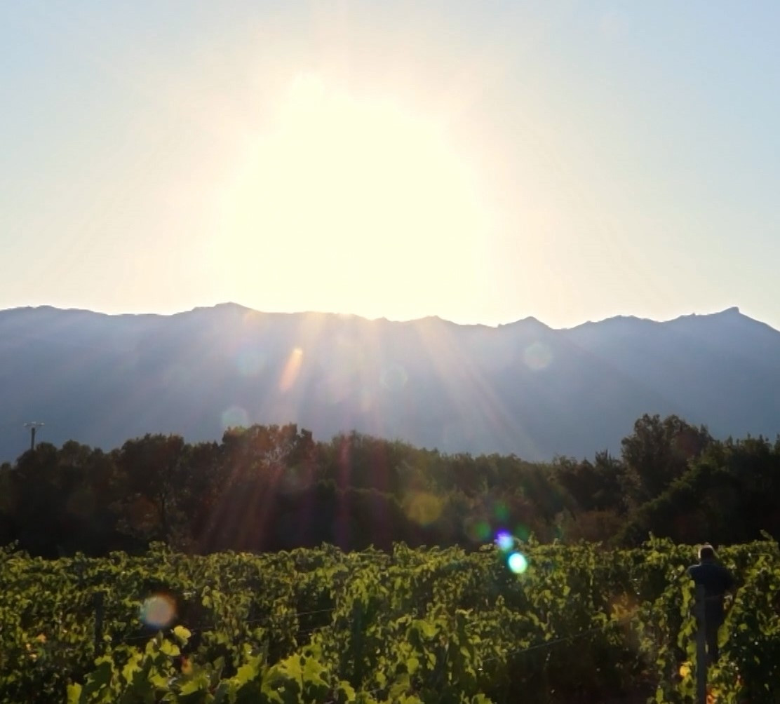 Saisons Corse