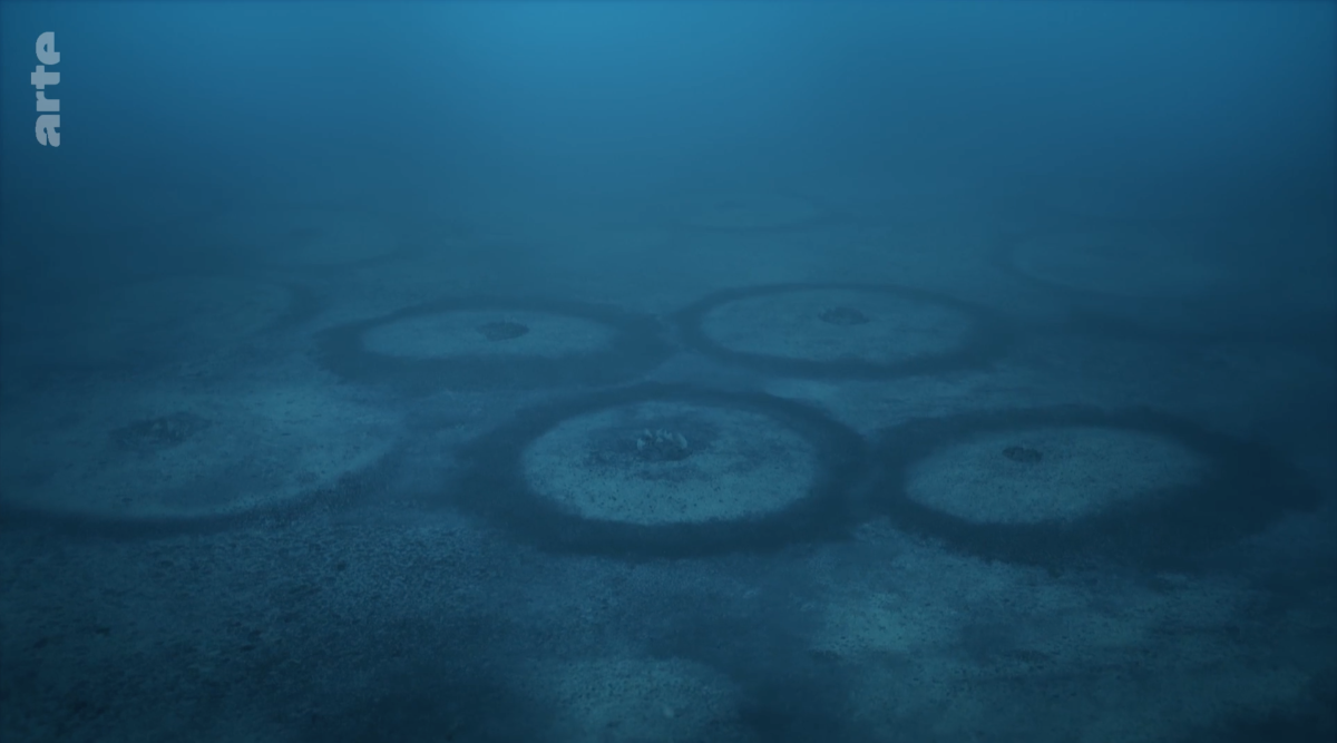 ocean