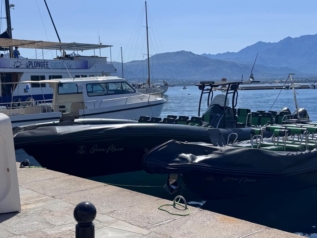 calvi