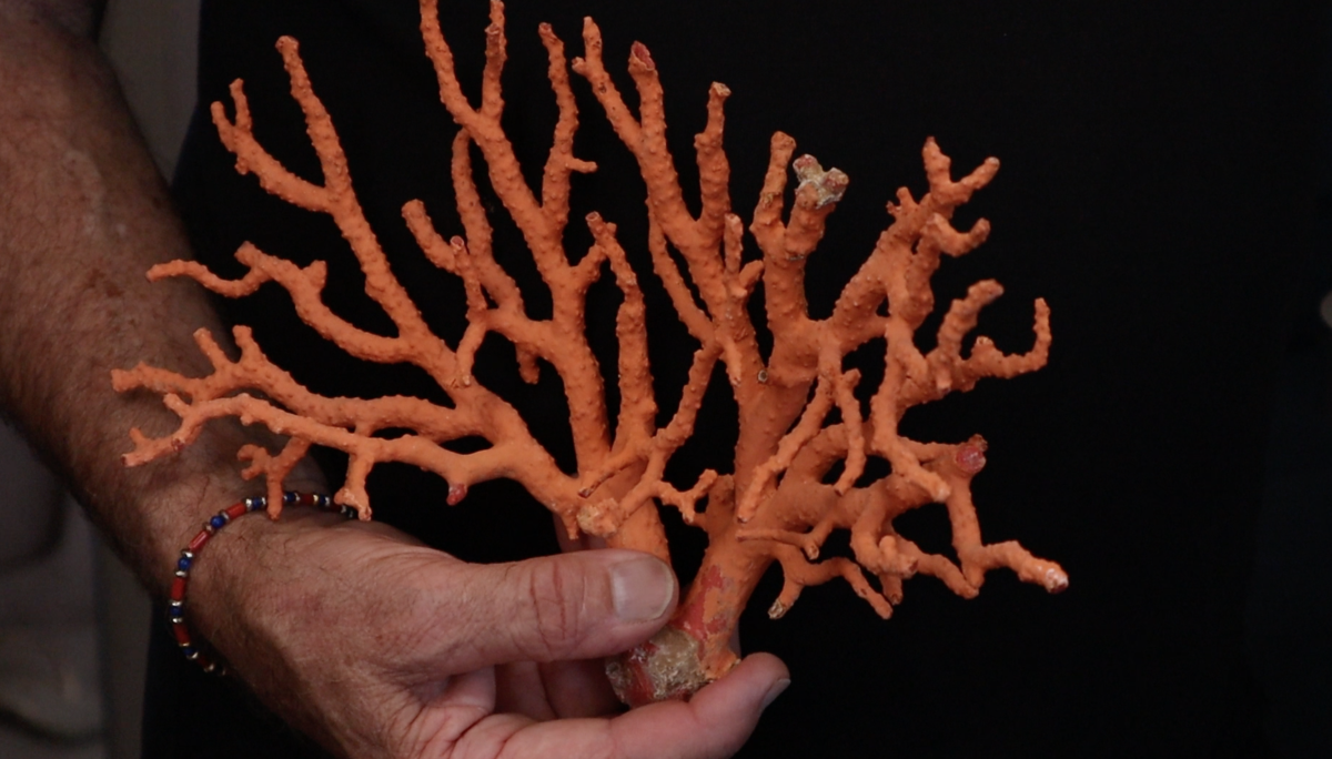 corail