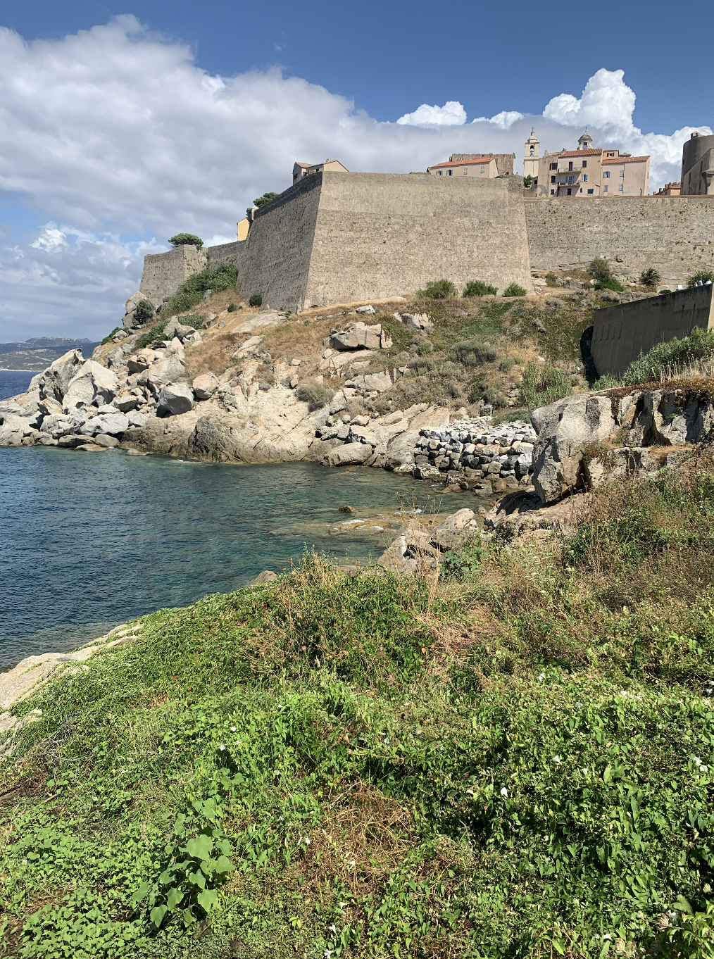calvi