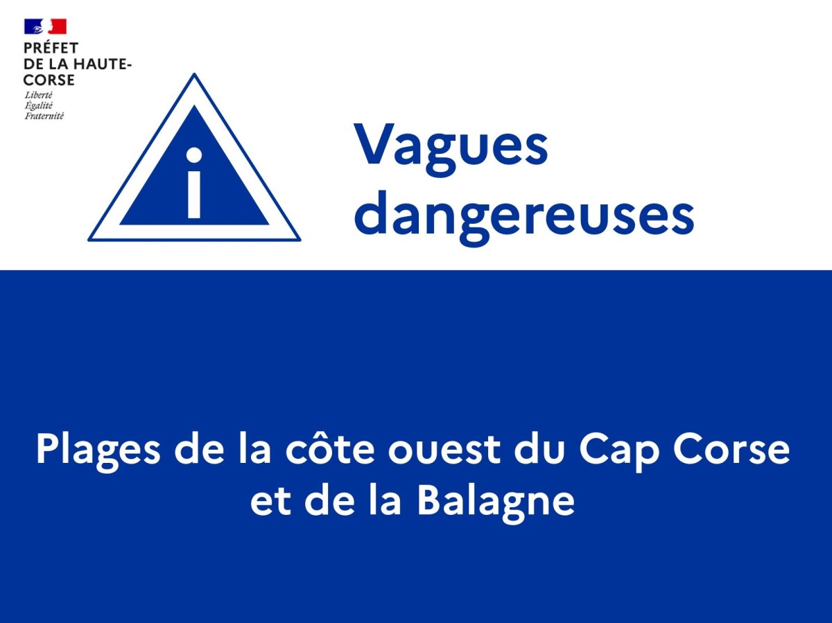 vague violente