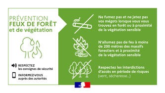 prévention feu de forêt incendie