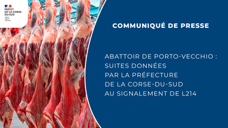abattoir