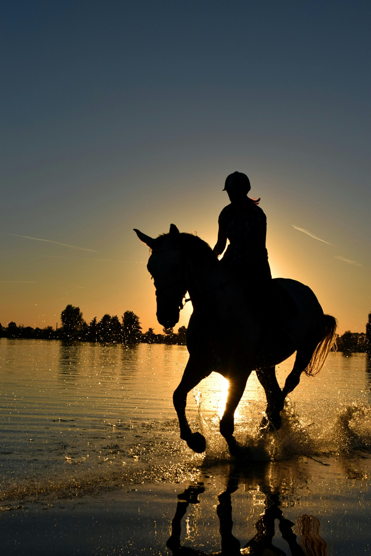 cheval