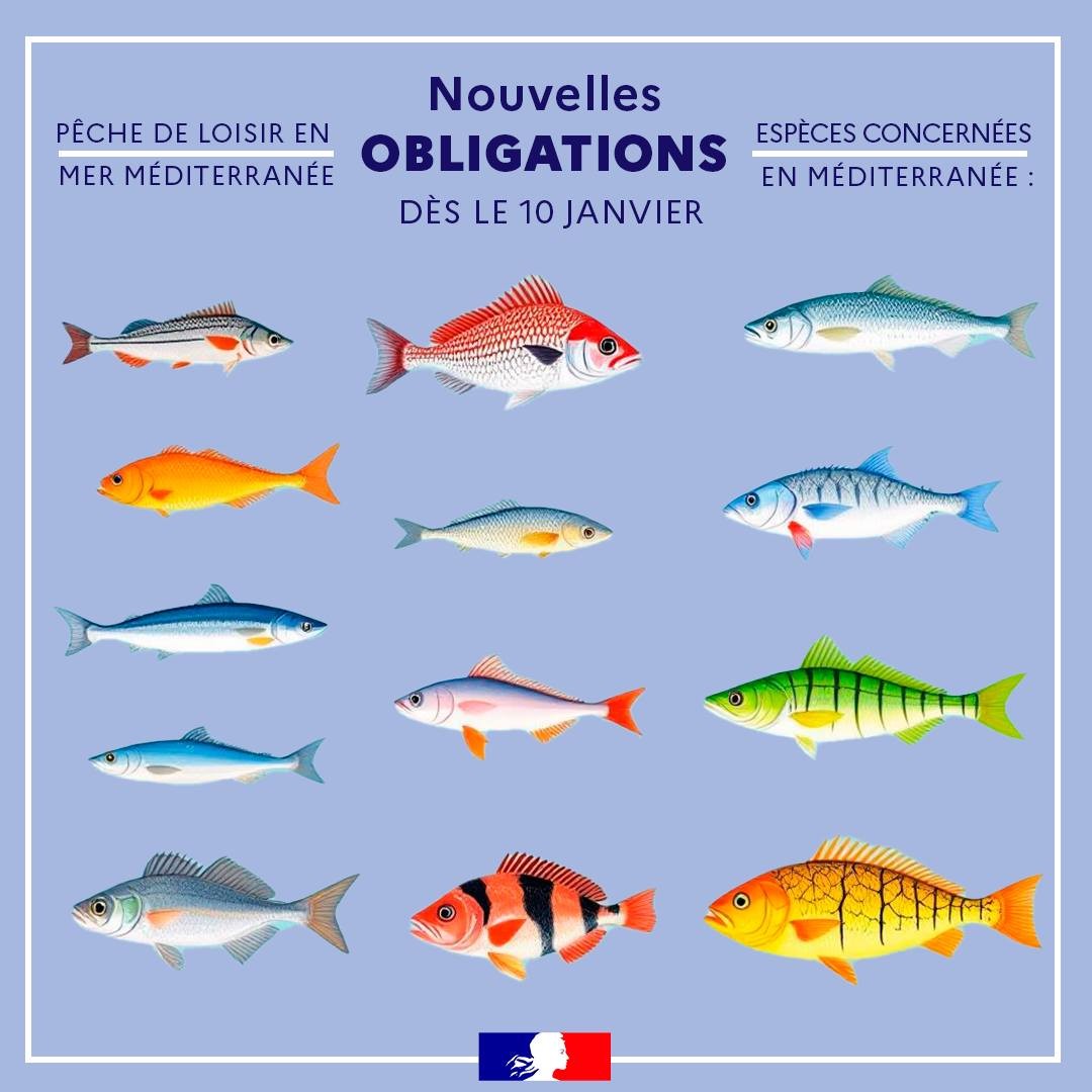 POISSONS
