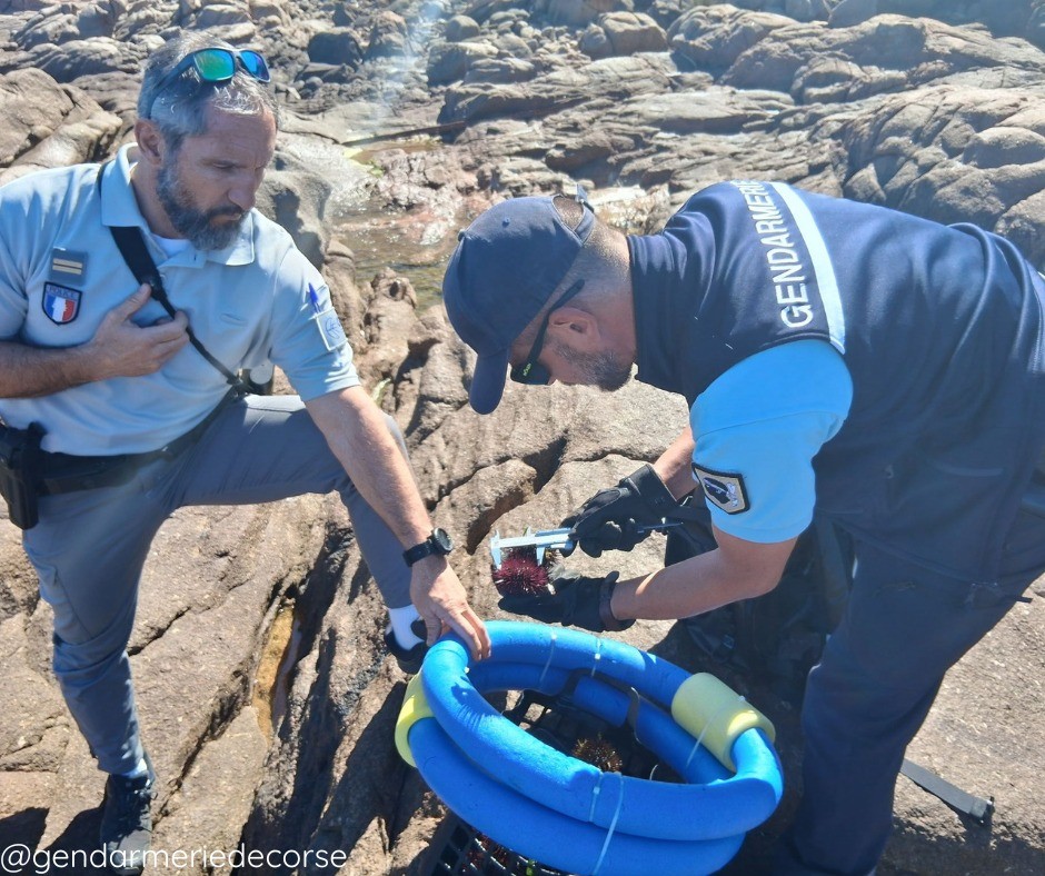 Gendarmerie de Corse