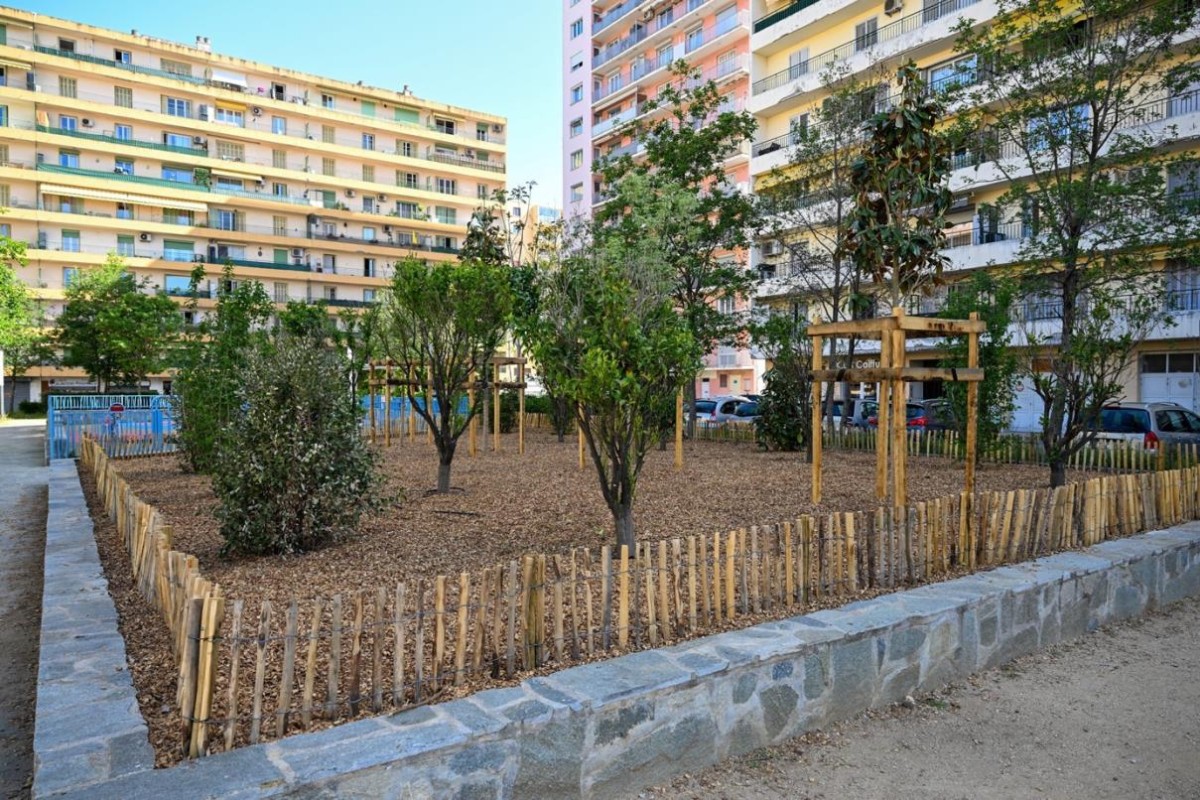 quartier des cannes