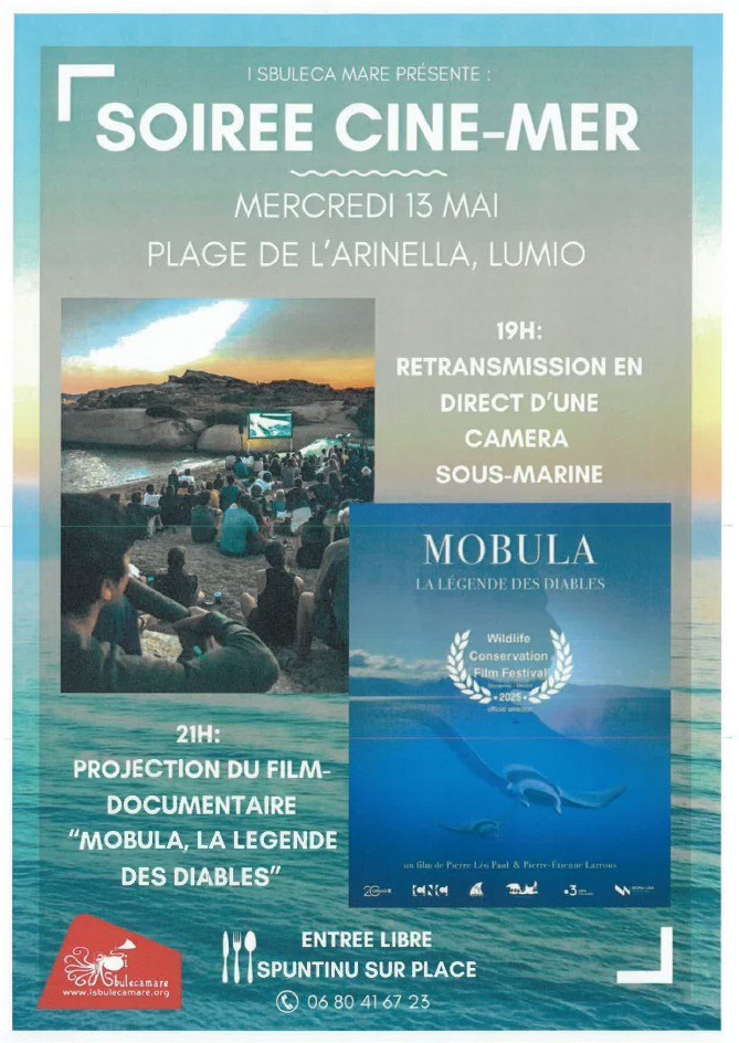Lumiu : l’association « I Sbuleca Mare » organise une soirée caméra sous-marine
