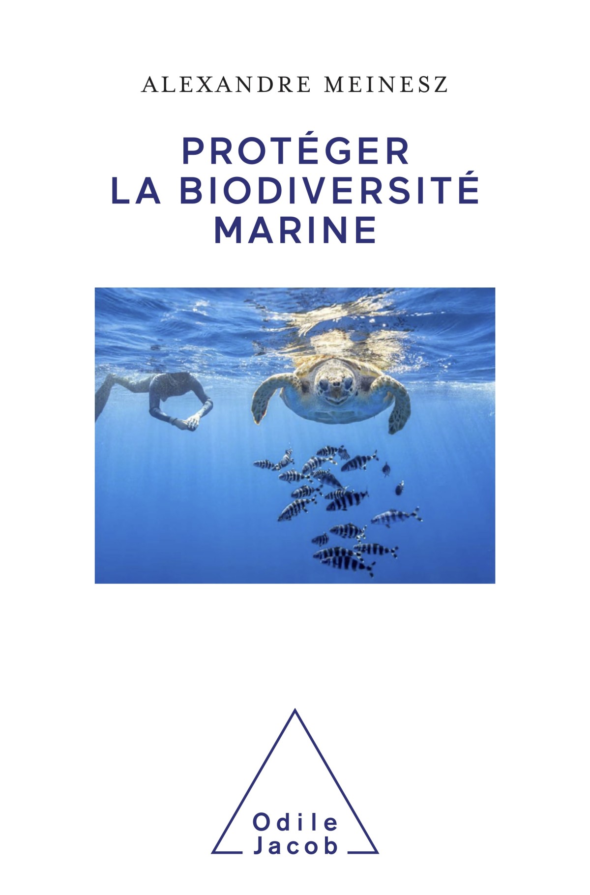 Environnement : La Méditerranée face à la montée des eaux, le regard du biologiste Alexandre Meinesz à Calvi