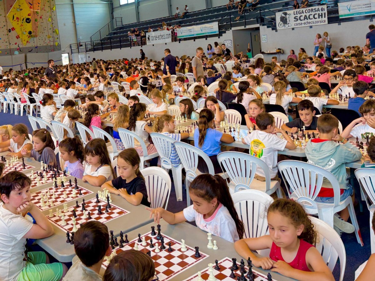 échecs 