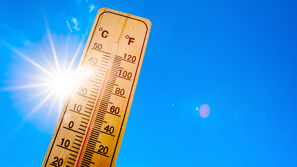 canicule