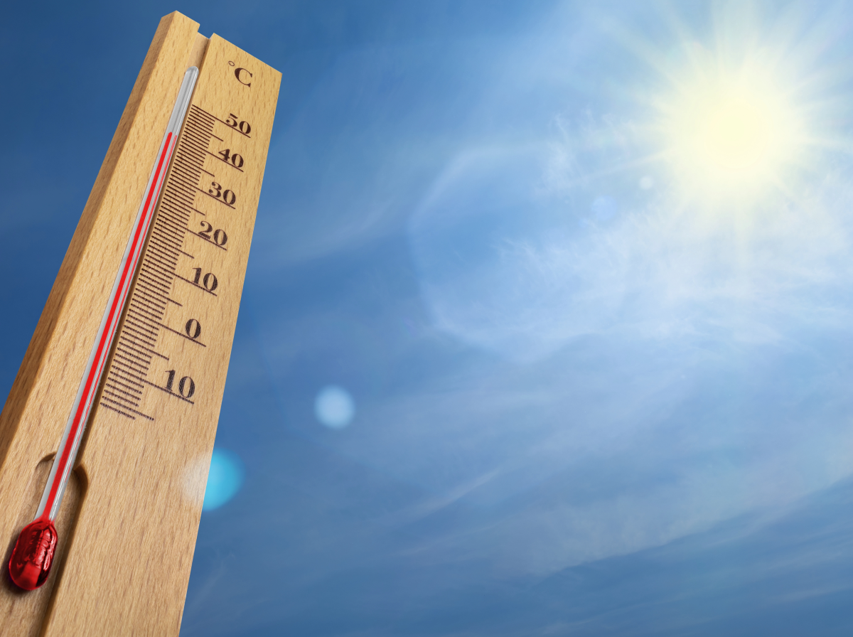 canicule