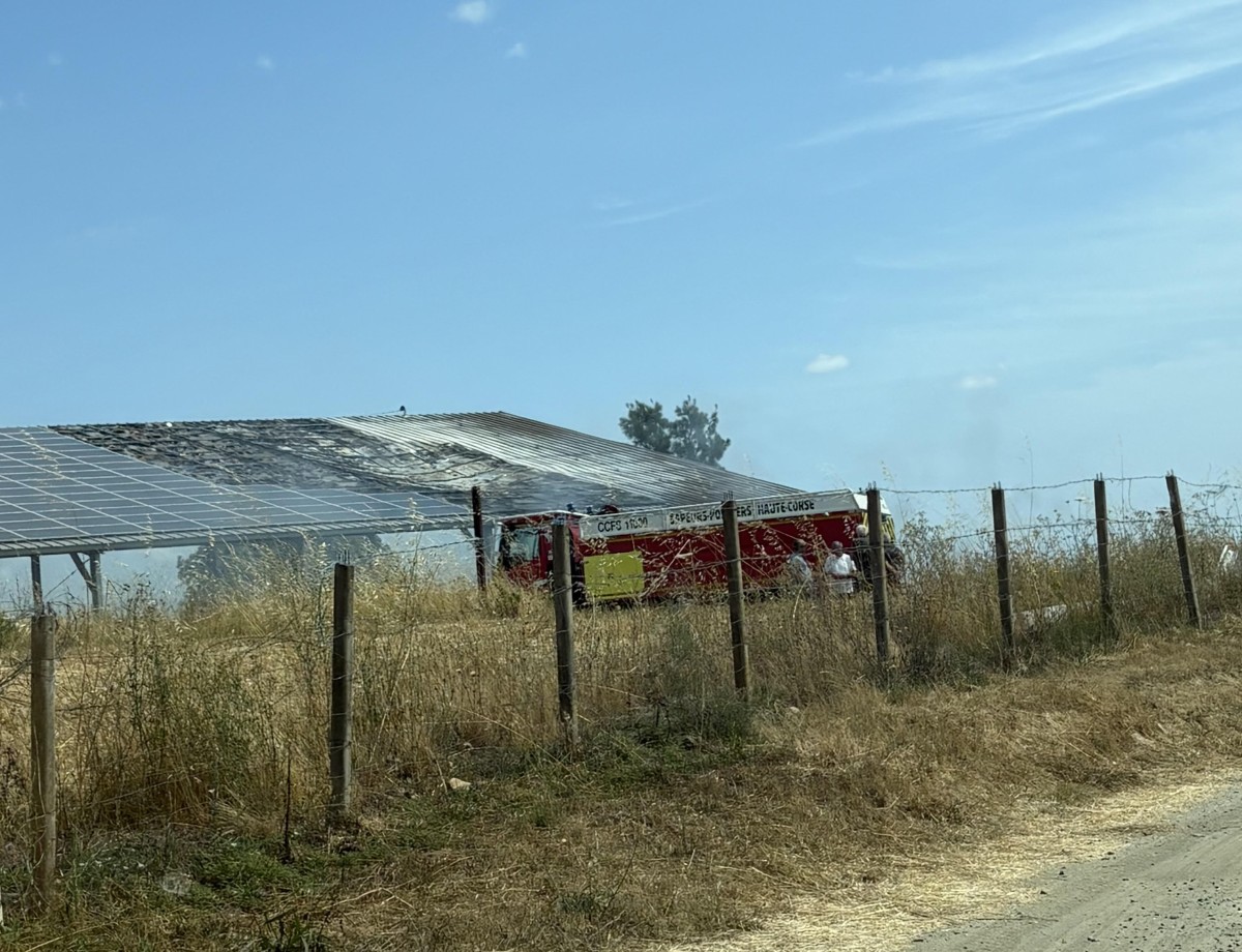 Prunelli-di-Fiumorbu : 280 ballots de foin détruits dans l’incendie d’un hangar agricole