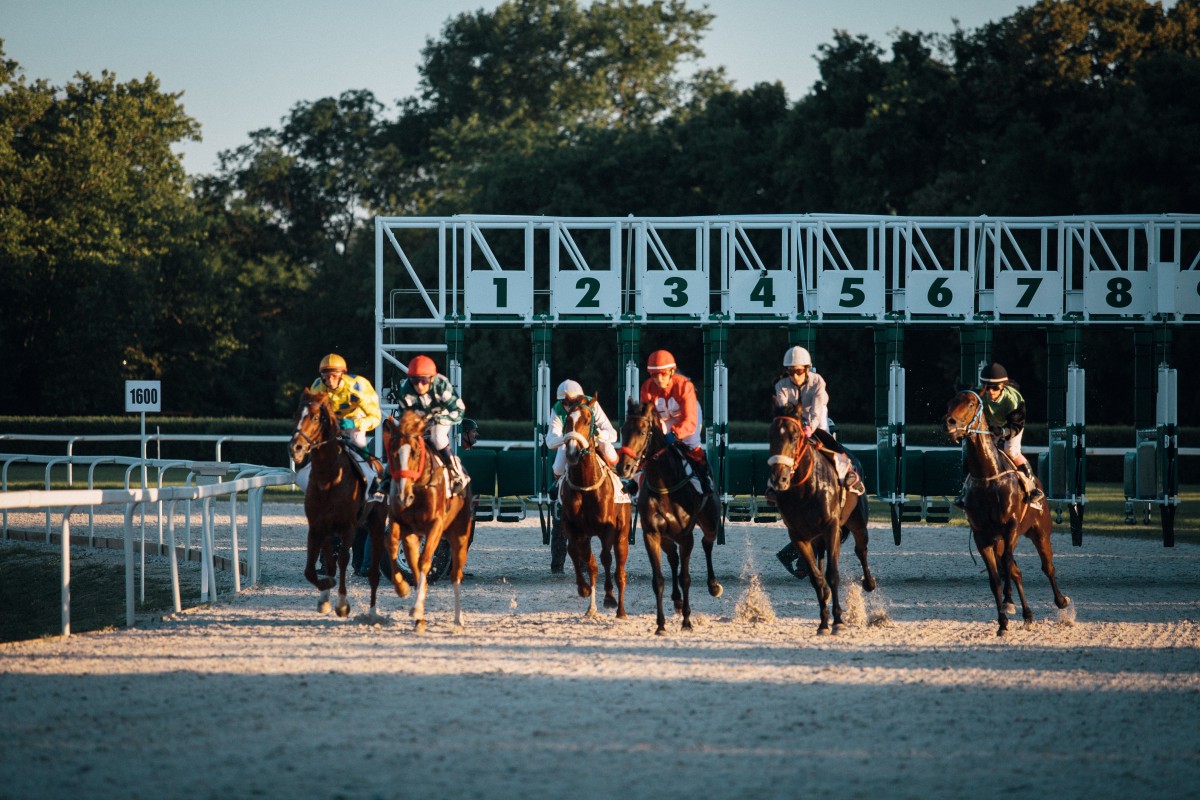 course hippique chevaux