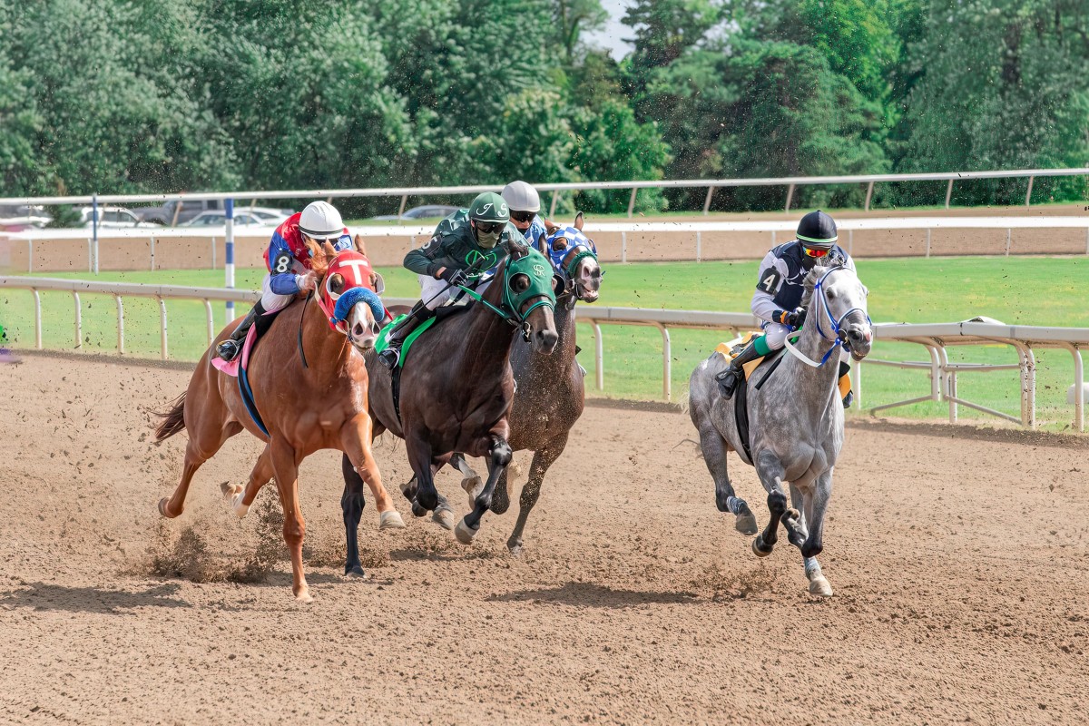 hippique course chevaux 