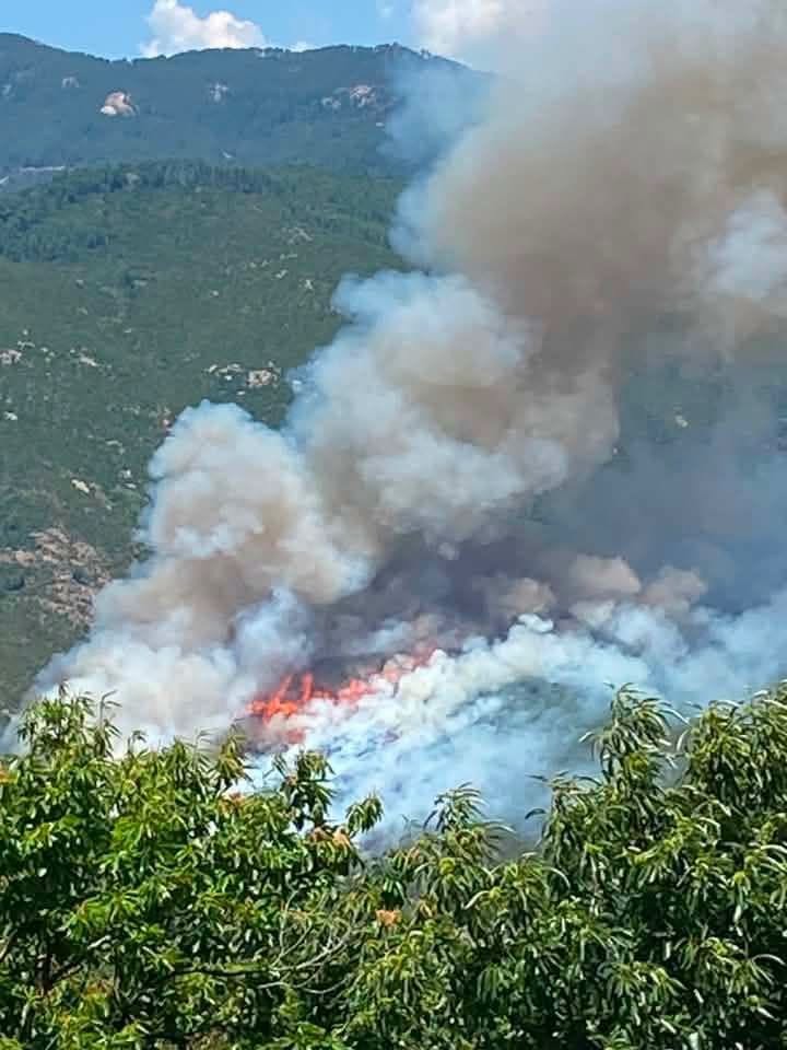 ASSOCIATION PRÉVENTIONS ET SIGNALEMENT FEUX DE FORÊT FACEBOOK