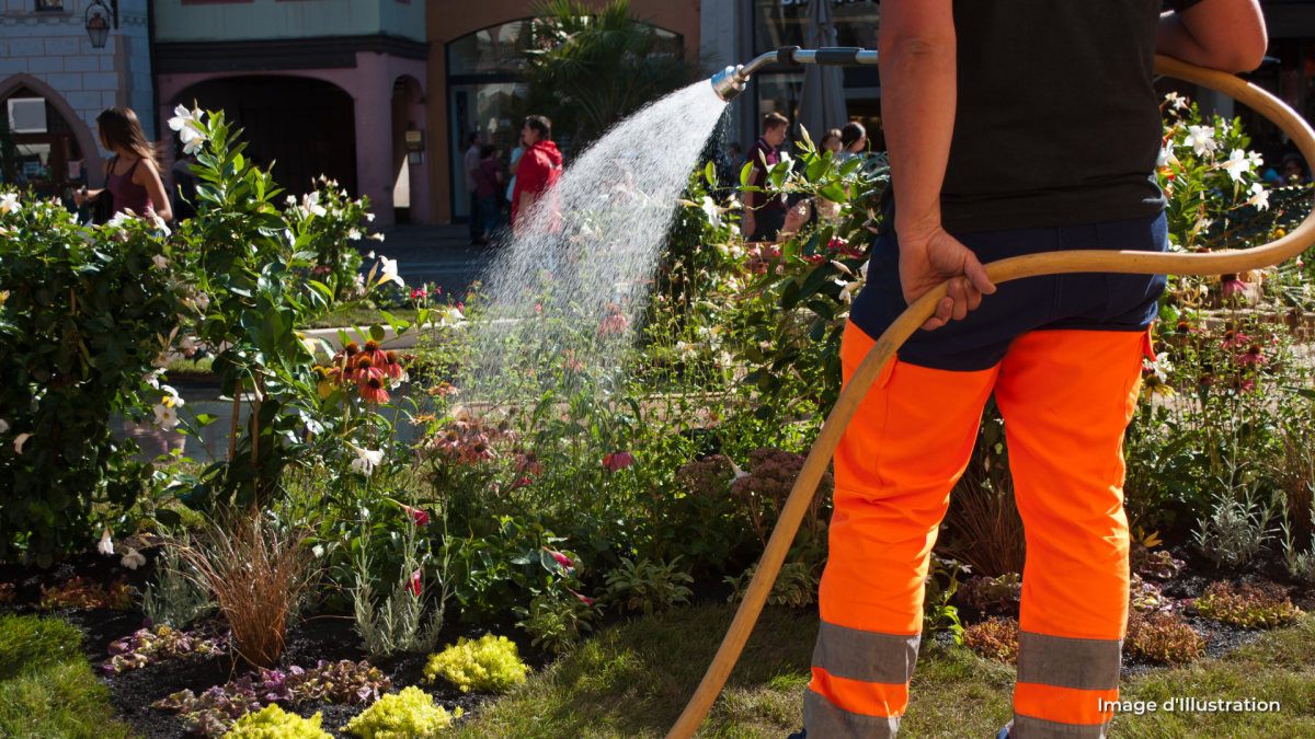 arrosage restriction eau secheresse