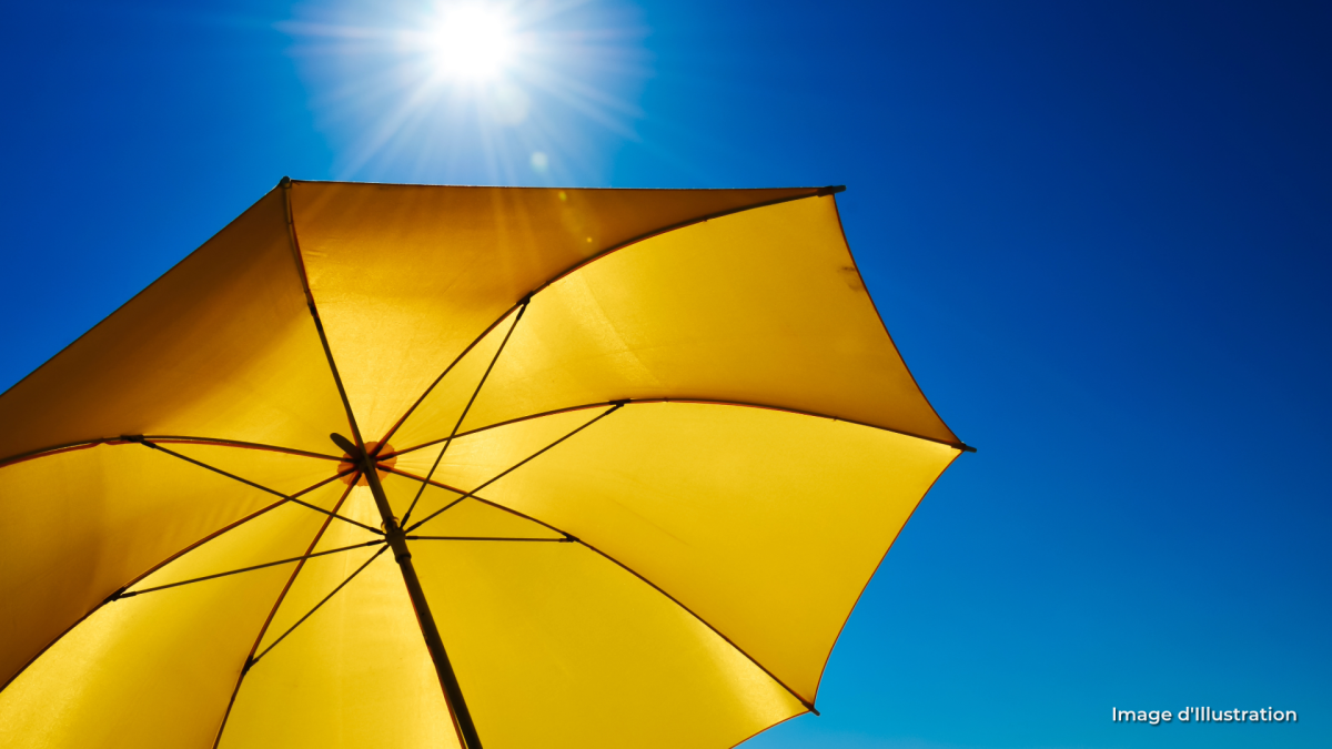 canicule