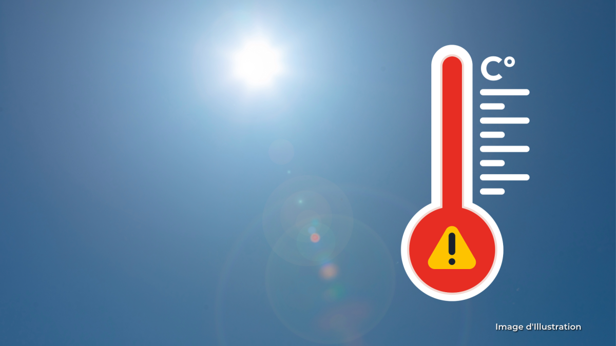 Canicule