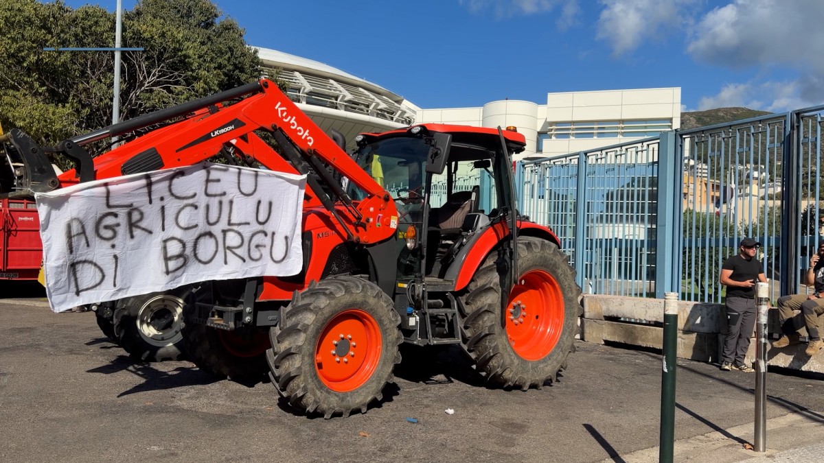 Sécheresse et plan d'urgence : l'État fait le point avec le monde agricole corse