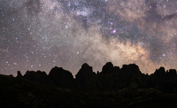 wild Corsica photographie de corse