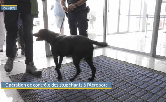Orco contrôles les passagers à leur sortie de l'avion