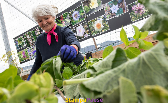 Révolution des jardins