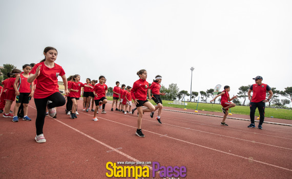 meeting athlétisme