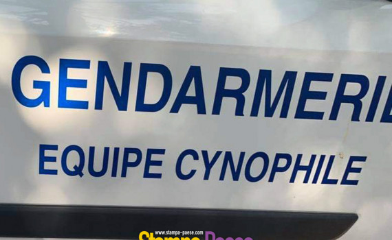BRIGADE CYNOPHILE