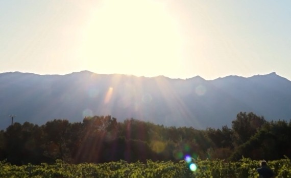 Saisons Corse