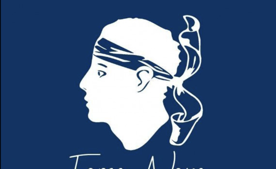 logo forza nova Facebook