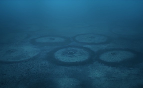 ocean