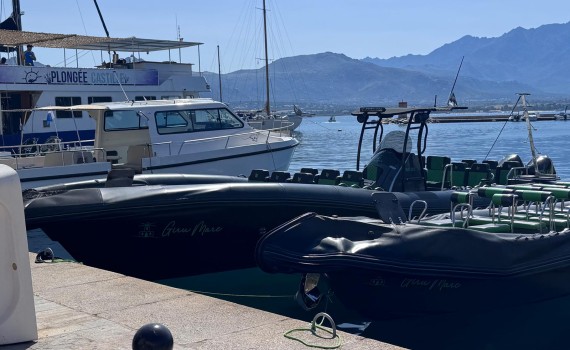 calvi