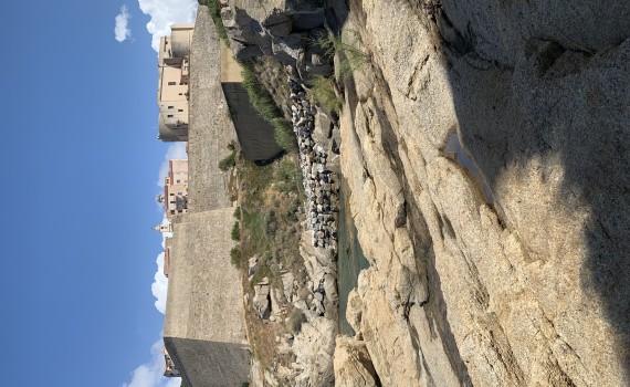 Calvi