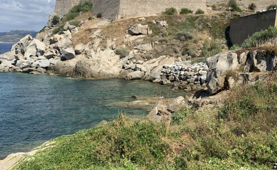 calvi