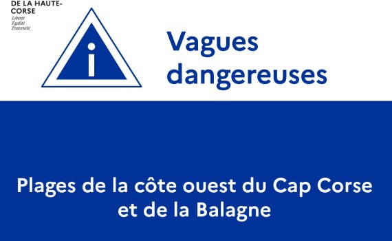 vague violente
