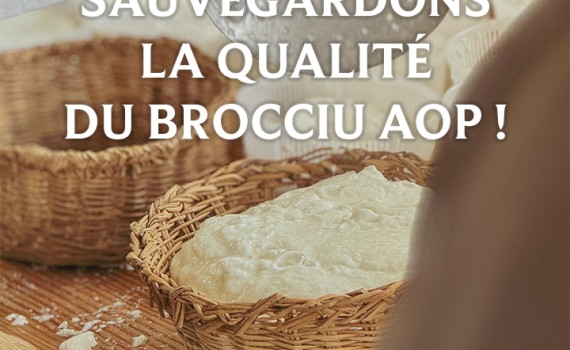 brocciu