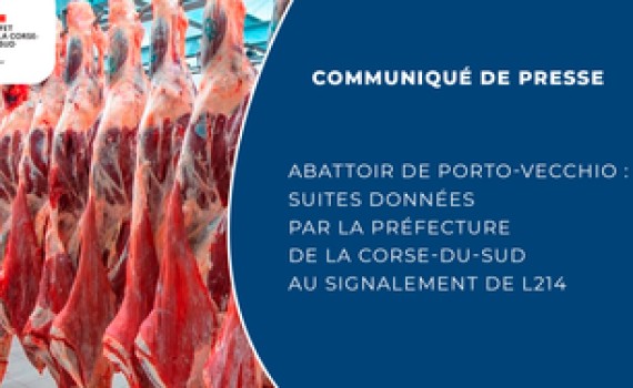 abattoir