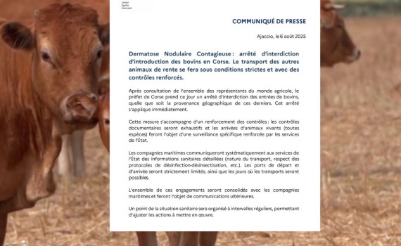 vache DNC