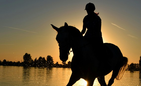 cheval