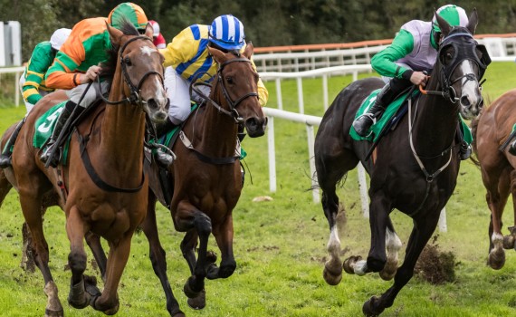 course hippique chevaux tony